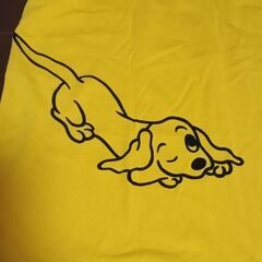 Tシャツ まとめての画像