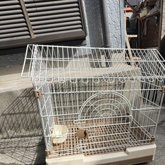ペットハウスの画像
