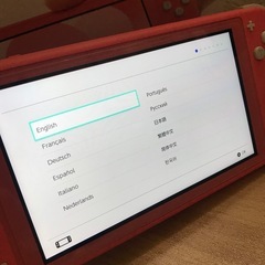 任天堂 Switch LITE 本体の画像