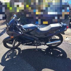 kawasaki zzr250 族車ベースにもの画像