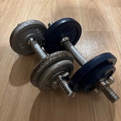 懸垂マシン＆ダンベル10キロ2個セットの画像