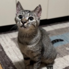 人が大好き🩷女の子推定2〜4歳