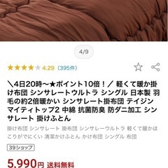 掛け布団　2枚　シンサレート、シンサレートウルトラ150の画像