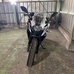 土日限定のお値段です。GSX250Rの画像