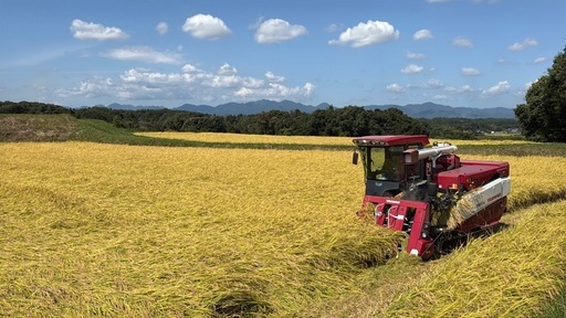 受付停止　令和7年産　コシヒカリ　玄米　1袋10キロ