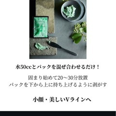 新品　カメレオンパックの画像