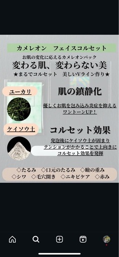 新品　カメレオンパック