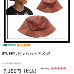 ストゥーシー バケハ ダークオレンジの画像