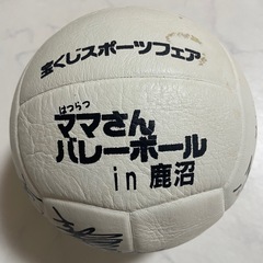 サイン入り　バレーボールの画像