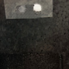 メダカ、お話中😄中古発泡スチールレア色‼️の画像
