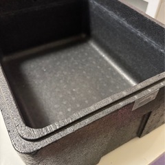 メダカ、お話中😄中古発泡スチールレア色‼️の画像