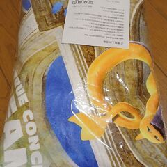  新品丸形ラグマット🌟新品長座布団と纏めていかがでしょうか？の画像