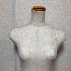 トルソー  女性 ベージュ  1本足 高さ調節可能 腕なし の画像