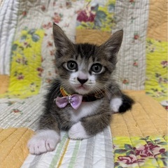 １ヵ月おとこの子❤️おわん君