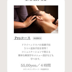 今だけ！ドライヘッド講座プロコース【受講料39,000円】の画像