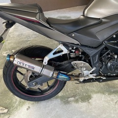 YAMAHA YZF-R25の画像
