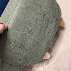 オットマン　カバ　アニマルオットマンの画像