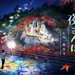 ネイキッド夜散歩