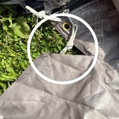 【正規品)】DOD ヤドカリテントの画像