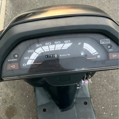 タクトの画像