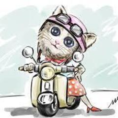 50ｃｃー70ｃｃのツーリング仲間募集　
