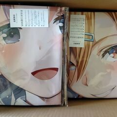 ★大量詰め合わせ！★アニメ・ゲーム・オリジナルキャラ★B1＆B2タペストリー13枚セット★スーパーレア★の画像
