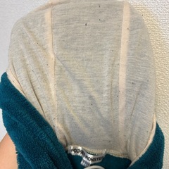 ポケモン　カビゴン　着ぐるみの画像
