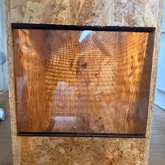 爬虫類ゲージ(お洒落な手作り物))の画像