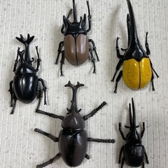 美品　お風呂用おもちゃ虫セット➕色々の画像