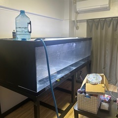 大型水槽の画像