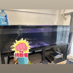 大型水槽の画像