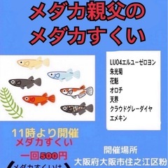 メダカ救い、販売イベント