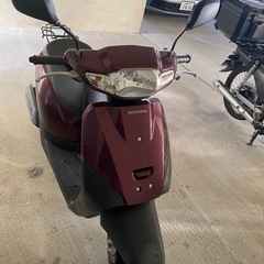【状態良好】原付の画像
