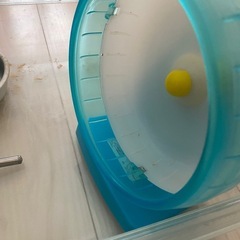 【無料】ハムスター飼育セットの画像