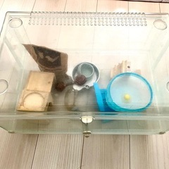 【無料】ハムスター飼育セットの画像