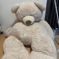 クマのぬいぐるみ、コストコの画像