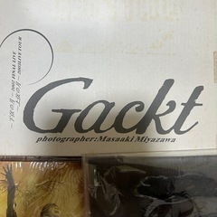 GACKT フィギュア等まとめ売りの画像