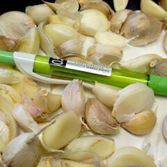 【無料】ニンニクの種　余った物の画像