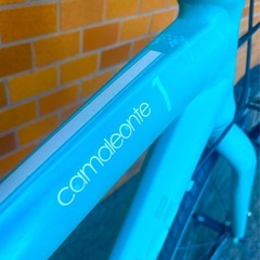 Bianchi camaleonte1 希少最終モデル　大人気のチェレステの画像