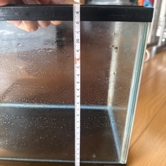 水槽の画像