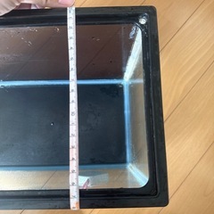 水槽の画像