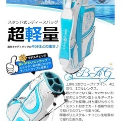 【中古】WORLD EAGLE 初心者ゴルフくらぶクラブセット（レディース）の画像