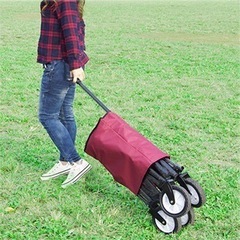 WILD MULTI CARRY SMART ワイルドマルチキャリー スマートの画像