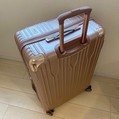 大型キャリーケースの画像