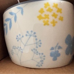 お皿3種類の画像