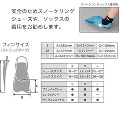 AQA ショートフィンの画像