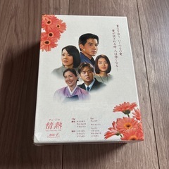 情熱(チェ・ジウ主演)の画像