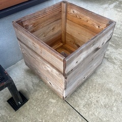 モンステラ　デリシオーサ　観葉植物　インテリアグリーン　杉板カバー付　の画像