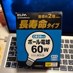 【無料】電球2個セット
の画像