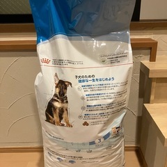 ロイヤルカナン マキシ パピー 大型犬 子犬用 ドッグフード 15kg　① 　石川県、奈良県周辺の画像